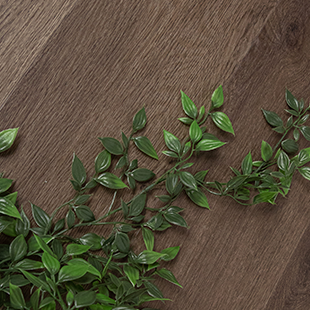 Finyl Go+ Planks Orne